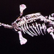 Image for article titled Eric the Pliosaur, one of the most interesting fossils on the planet